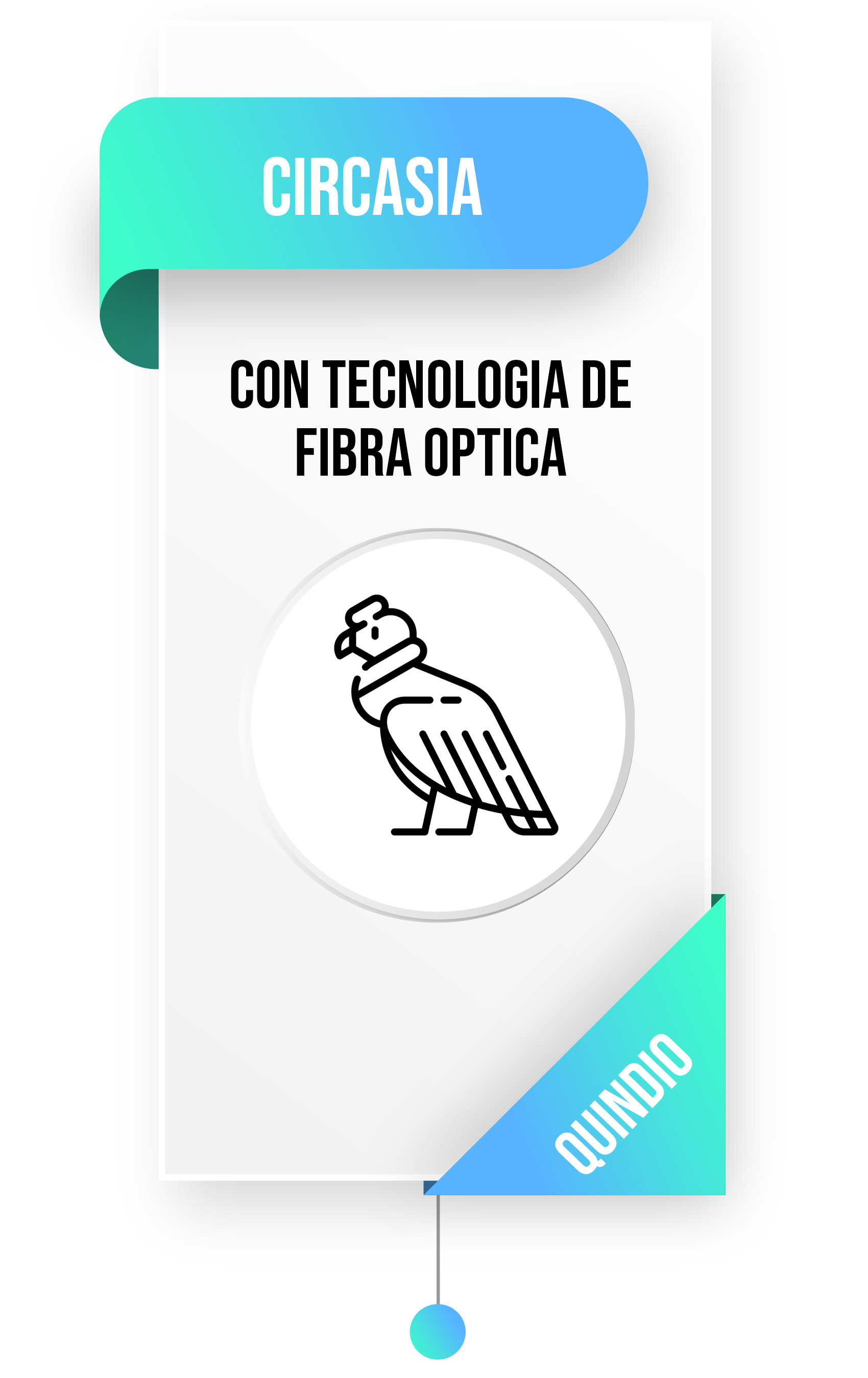 Ciscasia3