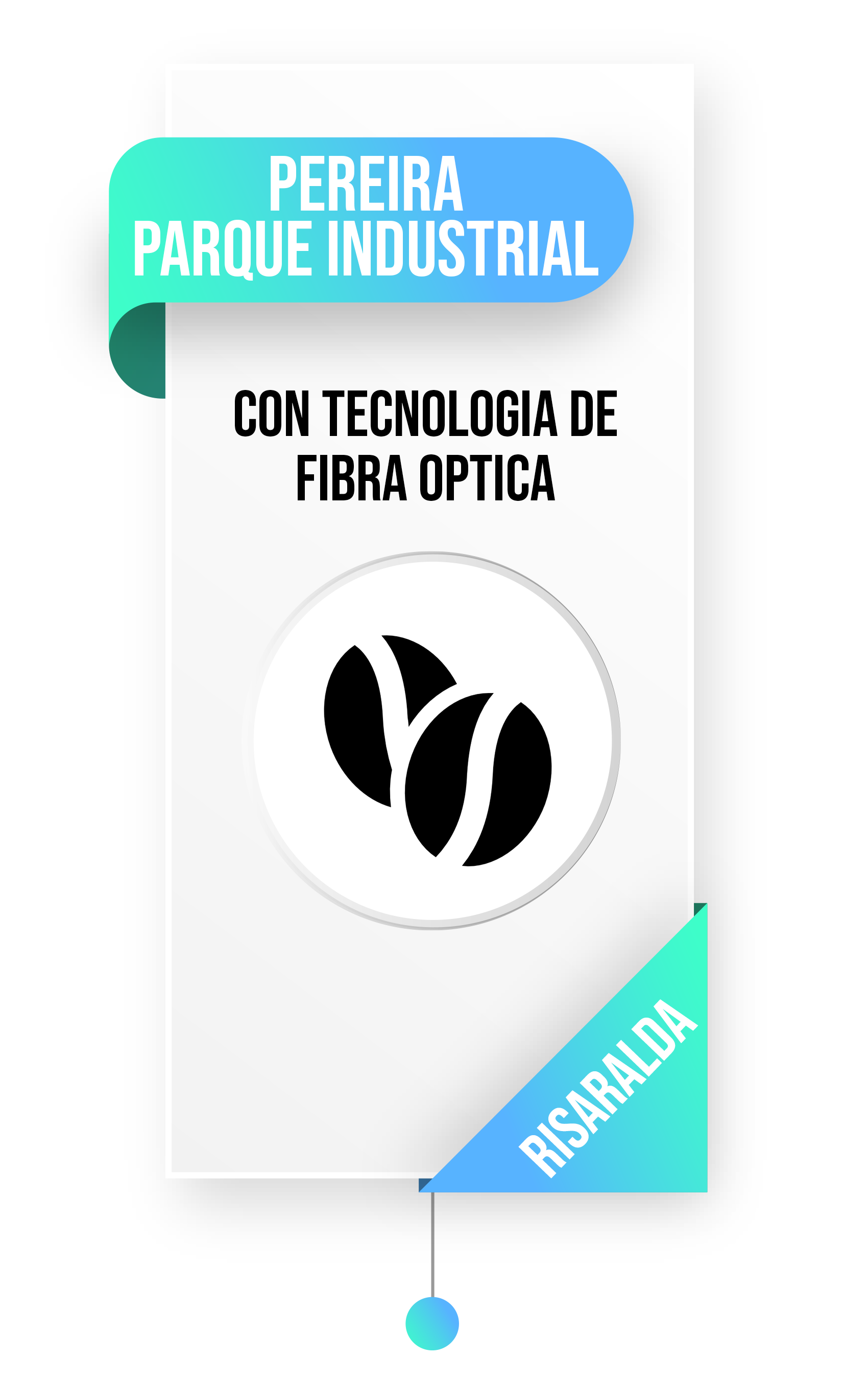 Pereira1